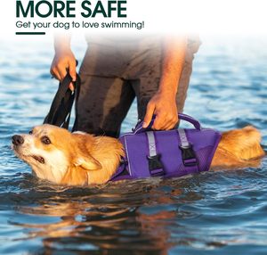 Gilet de chasse tactique en nylon haute qualité Winhye pour chien, avec système Molle et rivets, à libération rapide, idéal pour les voyages en extérieur - Product Image 4