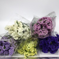 Verkoop China Groothandelsprijs Echte Verse Natuurlijk Ge conserveerde Bloemen en Planten Vergeet-mij-nietjes Bloem