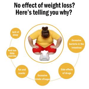 Jugo de <span class=keywords><strong>kiwi</strong></span> de fábrica Fit Detox Pérdida de peso Jugo de <span class=keywords><strong>kiwi</strong></span> instantáneo en polvo Polvo de jugo de fruta Tumy plano - Product Image 4