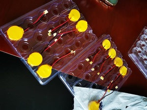 Lir2450 Tombol Baterai 3.7V 240MAH 2XLIR2450 Isi Ulang Tombol Sel Baterai dengan Memimpin Kabel dan Konektor - Product Image 3