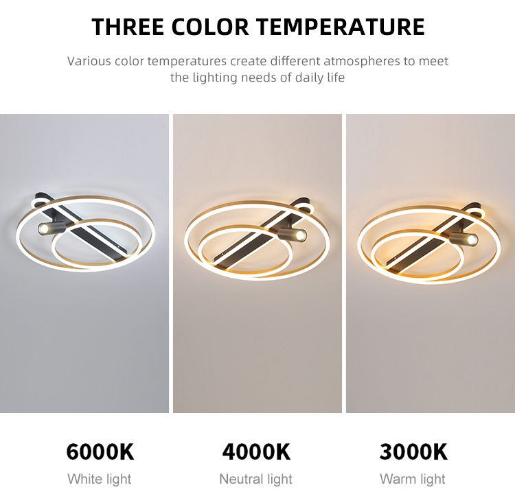 Art Decoration Bedroom Kitchen Hallway Fancy Design Modern Led Ceiling Light