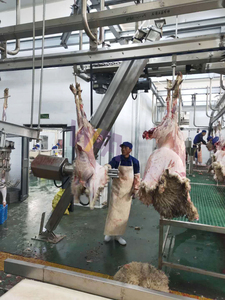 Machine d'abattage de moutons avec équipement d'écorchage de machine de retrait de peau de chèvre pour l'abattoir d'agneau - Product Image 6