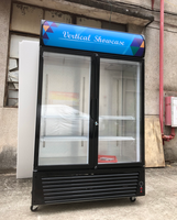 Congélateur de présentation à double porte commercial 2025, réfrigérant R290, vitrine de présentation, refroidisseur de boissons à vendre