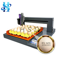 Printer Inkjet Thermal Murah untuk Nomor Kedaluwarsa & Nomor Batch Telur, Mesin Tij Single Head dengan Komponen Inti PLC untuk Penggunaan Komersial Katering