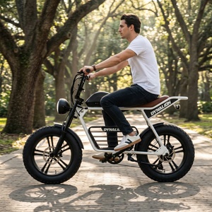 <span class=keywords><strong>Vélo</strong></span> électrique tout-terrain à gros pneus avec porte-bagages arrière, <span class=keywords><strong>vélo</strong></span> électrique pour le camping et les activités de loisirs en plein air - Product Image 6
