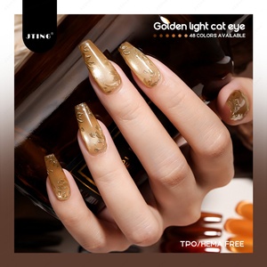 JTING Fournisseur de premier plan, Collection de vernis gel magnétique effet œil de chat doré 48 couleurs, sans TPO/Hema, OEM ODM - Product Image 5
