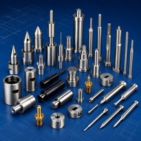 Jingruida Piezas de molde de plástico de alta precisión, Inserto de molde de precisión, Matriz de estampado, Punzón, Expulsor de molde, Expulsor escalonado
