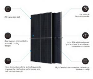 Pannelli Solari Industriali Trina 700w 710w 720w Tipo-N per Grandi Kit Solari e Sistemi a Vetro Singolo/Doppio - Product Image 2