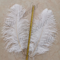 Plumes d'autruche en vrac très demandées - Plumes volumineuses et colorées de haute qualité de 55-60 cm pour l'artisanat DIY et la décoration intérieure