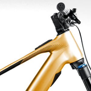 Promotion limitée Vélos 29 à suspension intégrale Fox Float X Performance Shock 48V 15Ah Moteur central Vélo de montagne électrique - Product Image 2