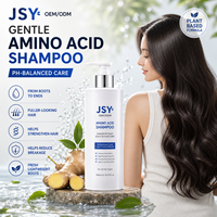OEM ODM Label Pribadi 500ml Sampo Asam Amino Jahe Berbasis Tumbuhan Pengontrol Minyak Perawatan Kulit Kepala Penambah Volume Perawatan Rambut untuk Semua Jenis Rambut