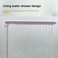 Bassin de bain spécial pour perroquet en plastique, à circulation d'eau automatique, grande taille, pour perruches, perruches de peinture, perruches peonies, et autres oiseaux de compagnie, en stock