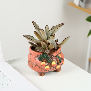 Carino dipinta A mano Mini <span class=keywords><strong>Fiori</strong></span> E <span class=keywords><strong>Piante</strong></span> <span class=keywords><strong>Grasse</strong></span> Succulente <span class=keywords><strong>Vaso</strong></span> di - Product Image 3