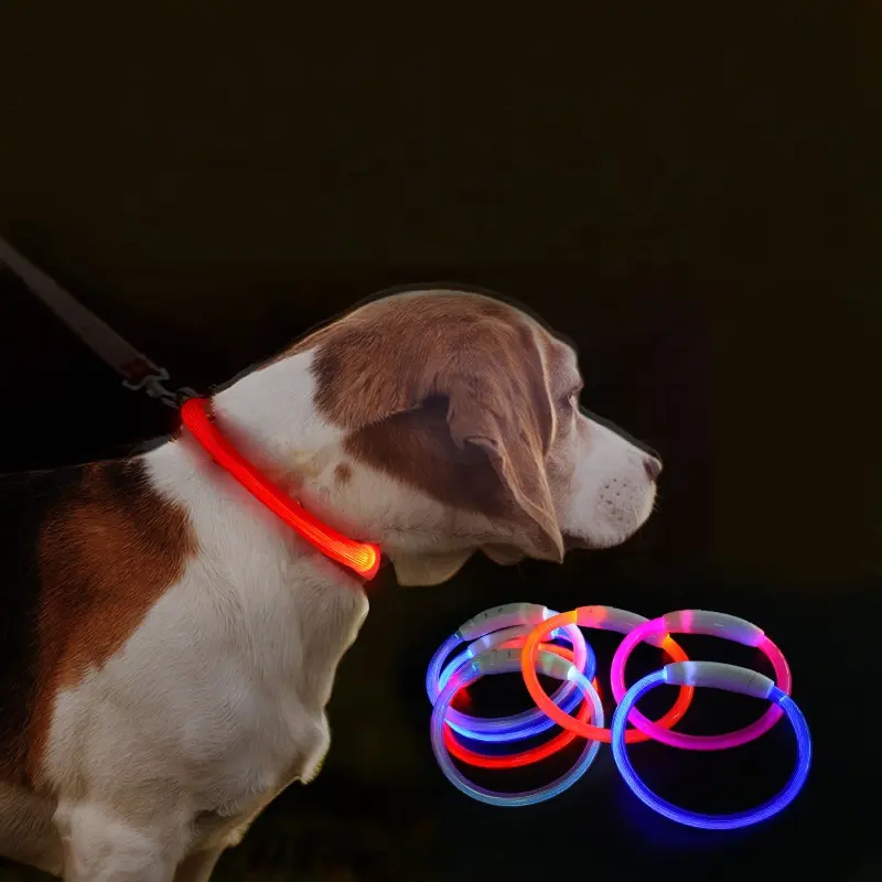 Colliers LED rechargeables USB pour animaux de compagnie, nouveauté, LED, réglables pour chiens et animaux de compagnie, ensemble pour la nuit, nouveau
