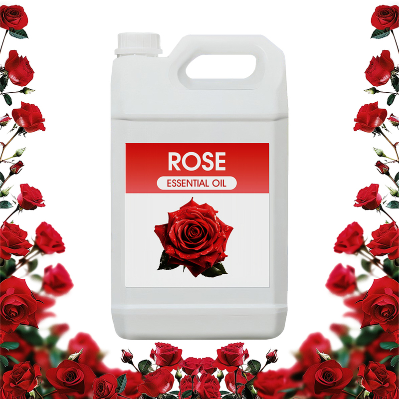 Wholesale 100 Natural Essential Oil Private