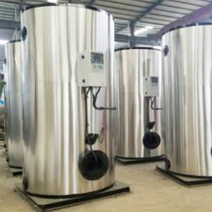 Generador de Vapor de Gas Natural, Petróleo y Diésel de 500l y 1000l, Equipo para la Elaboración de Cerveza - Product Image 6