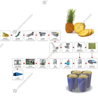 Aanpasbaar 1 ~ 20 T/h Passievrucht Sinaasappel Citroen Ananassap Jam Maken Extractor Machine Productielijn