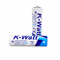 Piles alcalines AA LR6, blister de 4 piles primaires AA 1,5V, piles alcalines