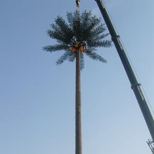Camouflaged Telecommunication Gsm Antenna Palm Tree Pole