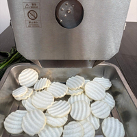 Huishoudelijke commerciële automatische restaurant elektrische groentesnijder/snijmachine appel ui fruit groentehakker/snijder