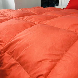 Vendita calda Per Adulti Personalizzata Doppio Colore Poliestere Tenuta Piuma Della Copertura A Buon Mercato Doppio Caldo di Inverno Piume D'anatra Giù Trapunta del Duvet - Product Image 5