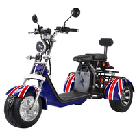 Tricycle électrique Citycoco 3 roues pour adultes, homologué EEC CE, certifié COC, 4000W, avec GPS et étanche, vente en gros Loyal China