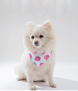 Venta al por mayor Logotipo de impresión personalizada mascota ajustable mascota perro cachorro gato cuello bufanda Bandana Collar pañuelo - Product Image 5