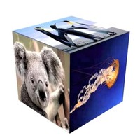 Cube Led P2 P2.5 P3 P4 Extérieur Intérieur Affichage Led Dynamique Pleine Couleur HD LED Signe Écran Publicitaire Module Vidéo Numérique