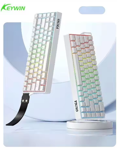 Factory Wholesale 68 Keys Hotswap Mechanical Keyboard RGB Light Side Laser Characters Wireless and Wired Gaming Office Keyboard