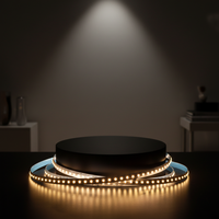 Bande LED RGBW IC 4040 à puce 100D 24V USB adressable et programmable 12mm IP65 pour aménagement paysager commercial, télécommande/Wi-Fi, CRI 90 élevé