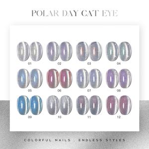 JTING Factory - Esmalte de Gel Profesional de 12 Colores Efecto Ojo de Gato, Sin Hema, Sin TPO, Suministros para Uñas OEM, Esmalte de Gel para Salón - Product Image 4