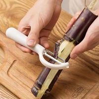 Handmatig roestvrij staal PE-plastic multifunctioneel keukengereedschap voor het schillen van fruit en groenten, willekeurige kleur, enkel stuk