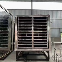 Gebruikt automatisch vacuümvriesdroogapparaat met PLC-pomp voor kant-en-klare voedsel, commerciële vriesgedroogde maaltijden, snacks en lyofilisator.