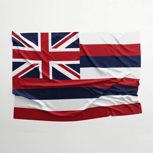 Drapeau Hawaï portable 3x5 pieds en polyester durable, résistant à la décoloration, imprimé numériquement, écologique, anti-plis, avec œillets en laiton - Product Image 1