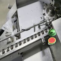 Équipement d'emballage en feuille ondulée pour chocolat de style fruit hémisphérique, scellage thermique haute vitesse, personnalisable automatiquement