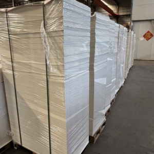 Feuilles de papier PE haute densité enduites, en rame jumbo, de qualité alimentaire, pour l'impression flexographique et les supports vierges pour gobelets en papier - Product Image 3