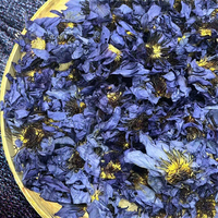 Boissons et aliments Blue Lotus, saveur neutre instantanée, pour adultes et enfants, certifiés Halal, sacs de 1 kg, durée de conservation de 12 mois