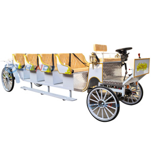 Carruaje Turístico Grande de 12 Plazas, Estilo Retro, Estilo Oriental, Carruaje de Caballos, Transporte Especial - Product Image 1