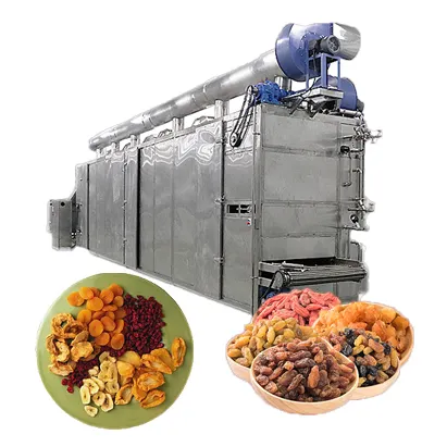 Ligne de production de fruits secs prunes mangues machines de traitement de tranches de bananes abricot séché