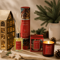 Diffuseur de parfum en roseaux AIKUN personnalisé, assortiment de senteurs pour une journée, gestion stricte de la qualité, écologique, coffret cadeau de Noël