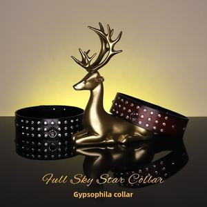 Luxury Crystal-Studded Genuine <strong>Leather</strong> BDSM Collar - <strong>Dominatrix</strong> Choker Necklace with O-Ring &amp; Slave Training Leash - Product Image 2