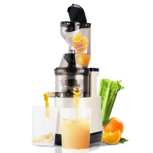 Yüksek kalite toptan 500W 110/200V soğuk basın PC yavaş elektrikli sıkacağı makineleri mastivegetables Blender sebze ve meyve için - Product Image 1