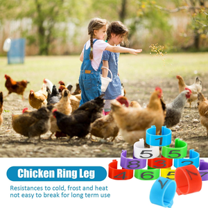 16mm 20mm Kippenpootbanden 01-200 Genummerde Kippenidentificatie Pootbanden Eenden Pluimvee Voetlabels voor Eenden Duiven Ganzen - Product Image 2