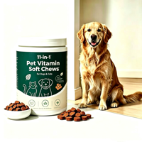 Compléments multivitaminés personnalisés 11-en-1 sous forme de friandises molles pour chiens : Soutien cutané, pelliculaire, digestif et cardiaque – 60 comprimés – Marque privée OEM