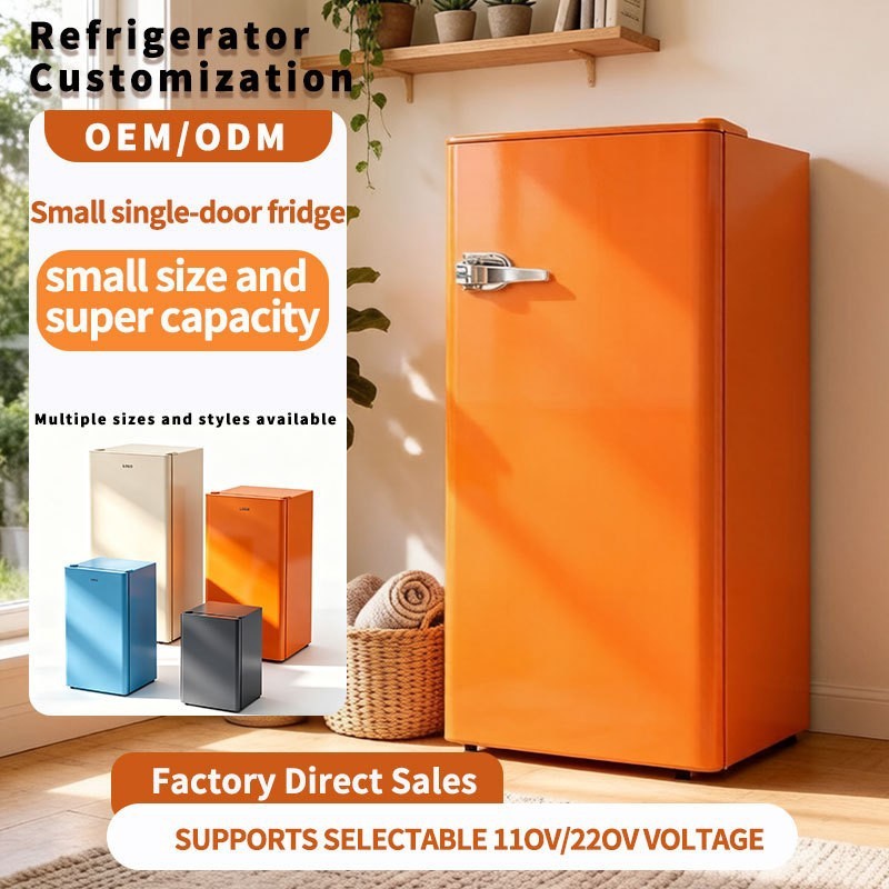 110V Double-Door Refrigerator – Household Direct Cooling Fridge with Auto-Defrost for Rental Homes - View 3