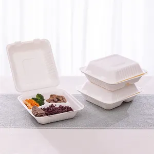 Biodegradable Sandwich Togo Bento Lunch Box Take Away Food Packaging Disposable Food Container
