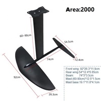 Spatium 2025 – Ensemble d'Ailes de Foils Hydrofoils en Carbone OEM, Vente Chaude pour Windsurf et Kitesurf