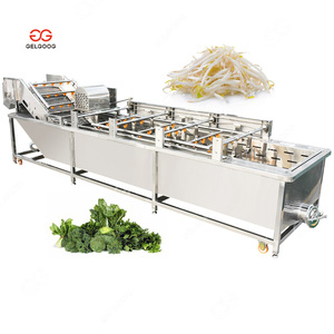 Leafy Vegetable and Fruit Cleaner Unit Bean Sprout Washing Machine with Ozone System