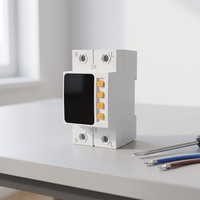 Protecteur de tension et de courant AC monophasé automatique à double coupure SVC Stabilisateur 10 KVA 220V 40A/63A/80A