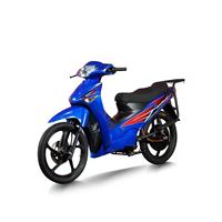 Moto électrique de tourisme haute performance 72V 3000W avec une autonomie de 100 km et une capacité de charge de 250 kg